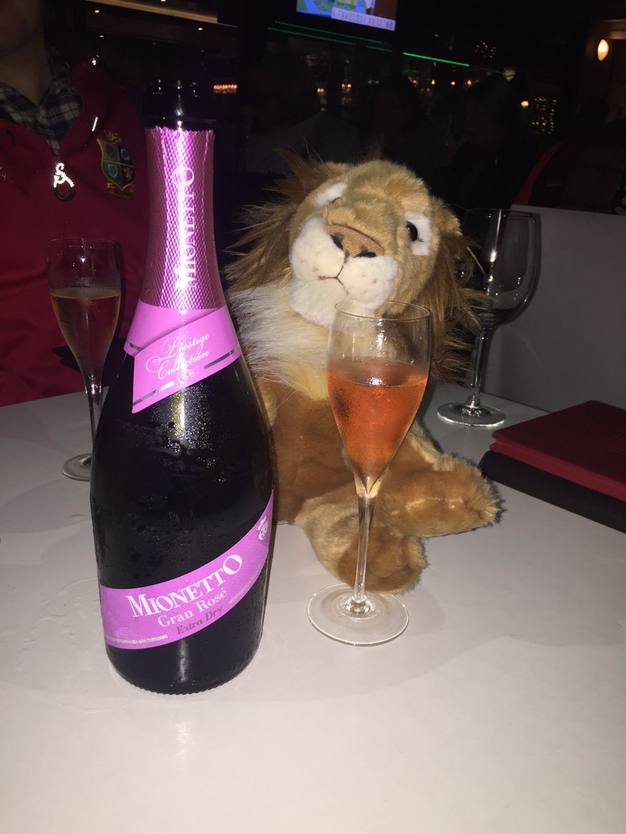 avocadoc's tweet photo. Sir Roary Suftum is getting ready to party. @lionsofficial  @UlsterRugby https://t.co/3lyORkSDeC