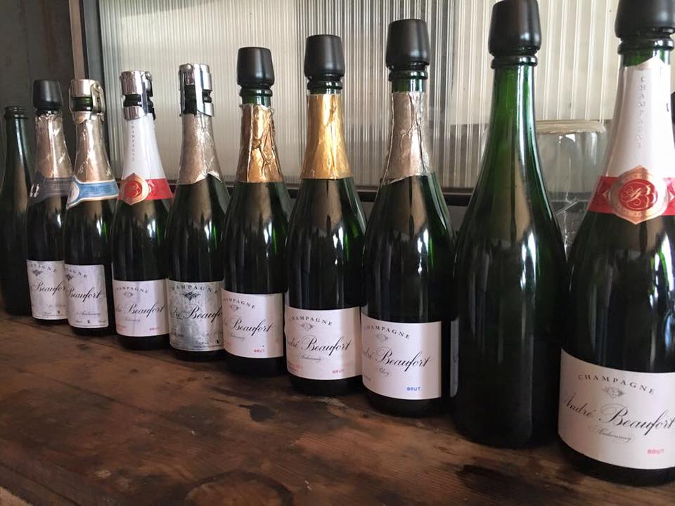 Continua il tour in Champagne (Reims) alla ricerca della quintessenza del Pinot Noir. 
Goutorbe, Beaufort e Vilmart i protagonisti!
