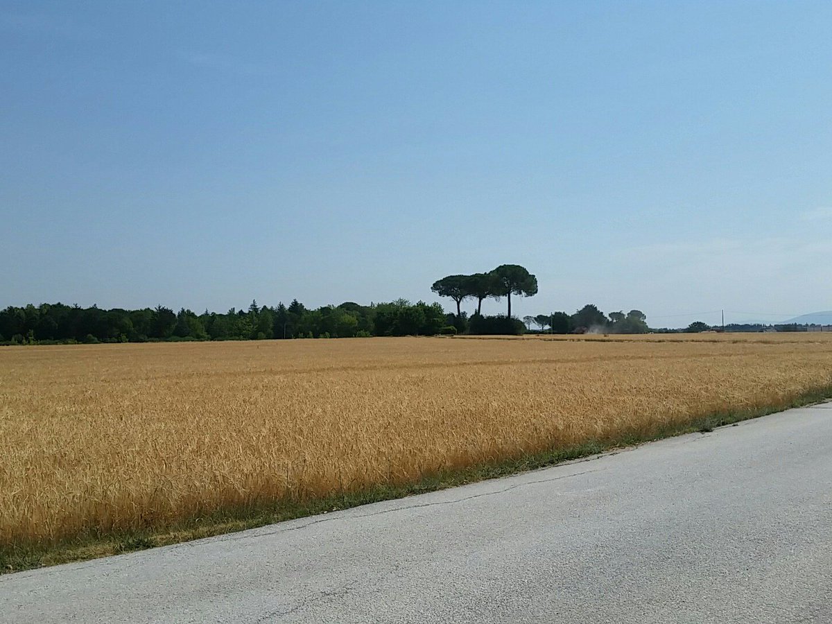 ildottormea's tweet photo. #buongiorno che l' #idillio di questo #23giugno vi sostenga:
#venerdi per molti delizia per altri croce.
#ricomincero' da qui https://t.co/FAzXB5gxNN