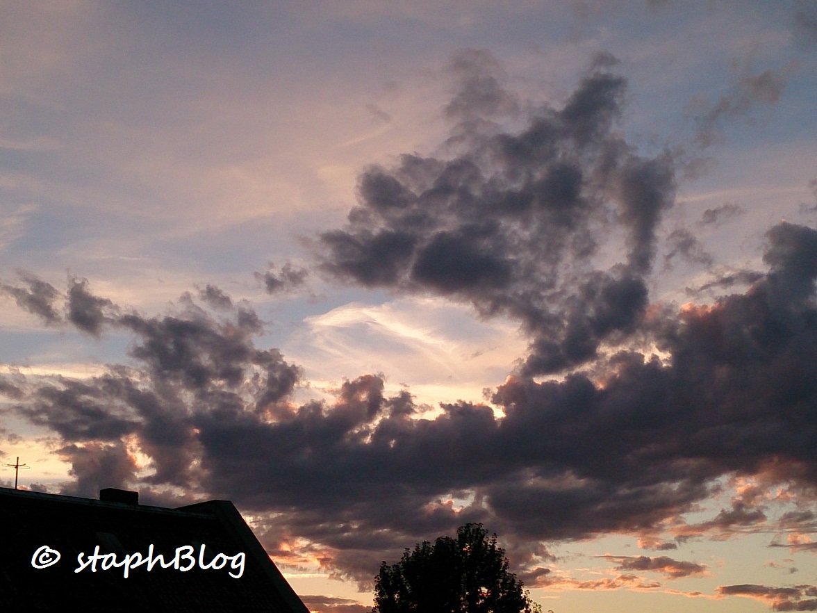 staphblog's tweet photo. #Stormwarning as well in Berlin yesterday. Today still #freshbreeze.
Somehow I like this sky monster.
#StormHour #windytimes #windycity https://t.co/5v6QLJNDp1