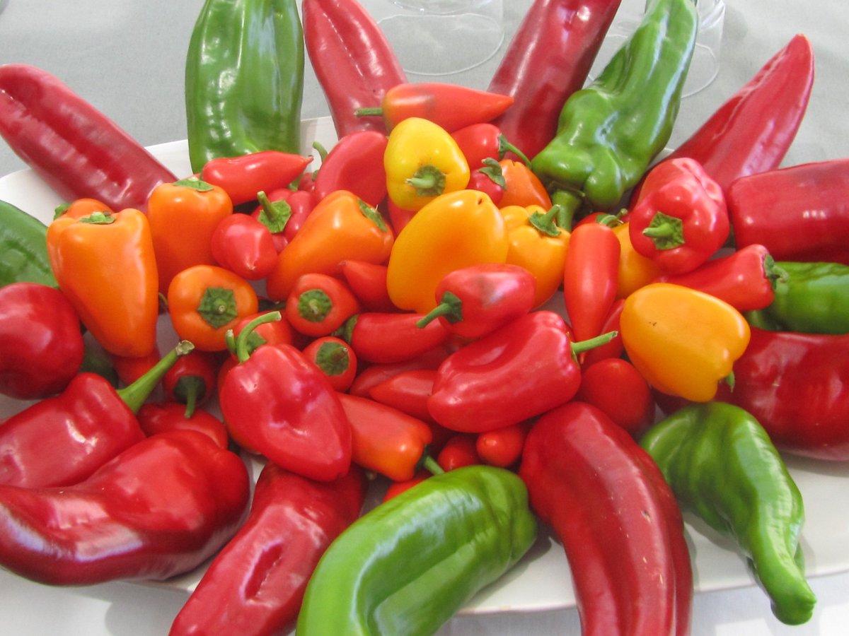 ClisolTurismo's tweet photo. Os invito a @hotelarbe de Itziar Sukia 🌶
Excelentes variedades como @tribellisweet,  Sixto de @enzazaden  y @SweetPalermo  de @RijkZwaan https://t.co/dInrtRVj7o