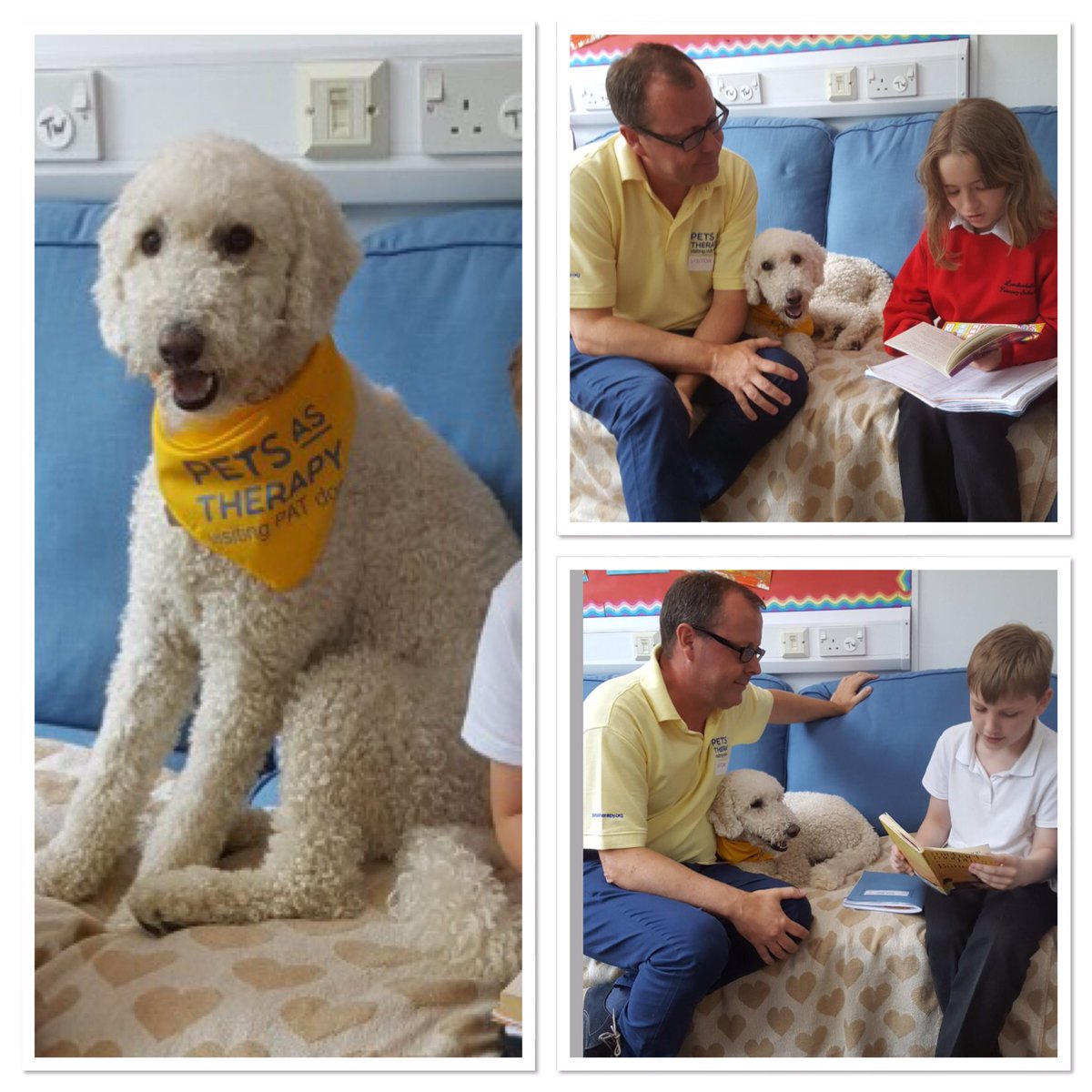 LumbertubsPri's tweet photo. Meet Ted and Wayne from Pets as Therapy! Some of our pupils loved reading to him yesterday! Glad to have you on board Ted! https://t.co/kDNzZkBgL9