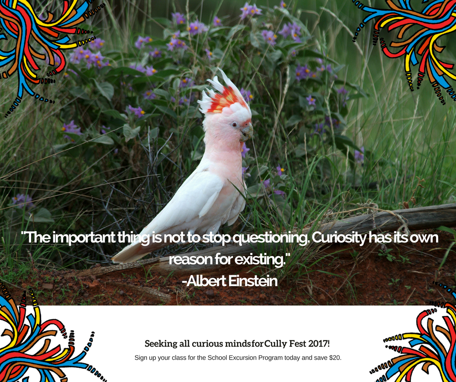 cullyfest's tweet photo. Seeking curious minds! #cullyfest2017 #schoolexcursionprogram #learningopp #toowoomba #thisisqueensland #curiousminds https://t.co/uWqCYa2CzN