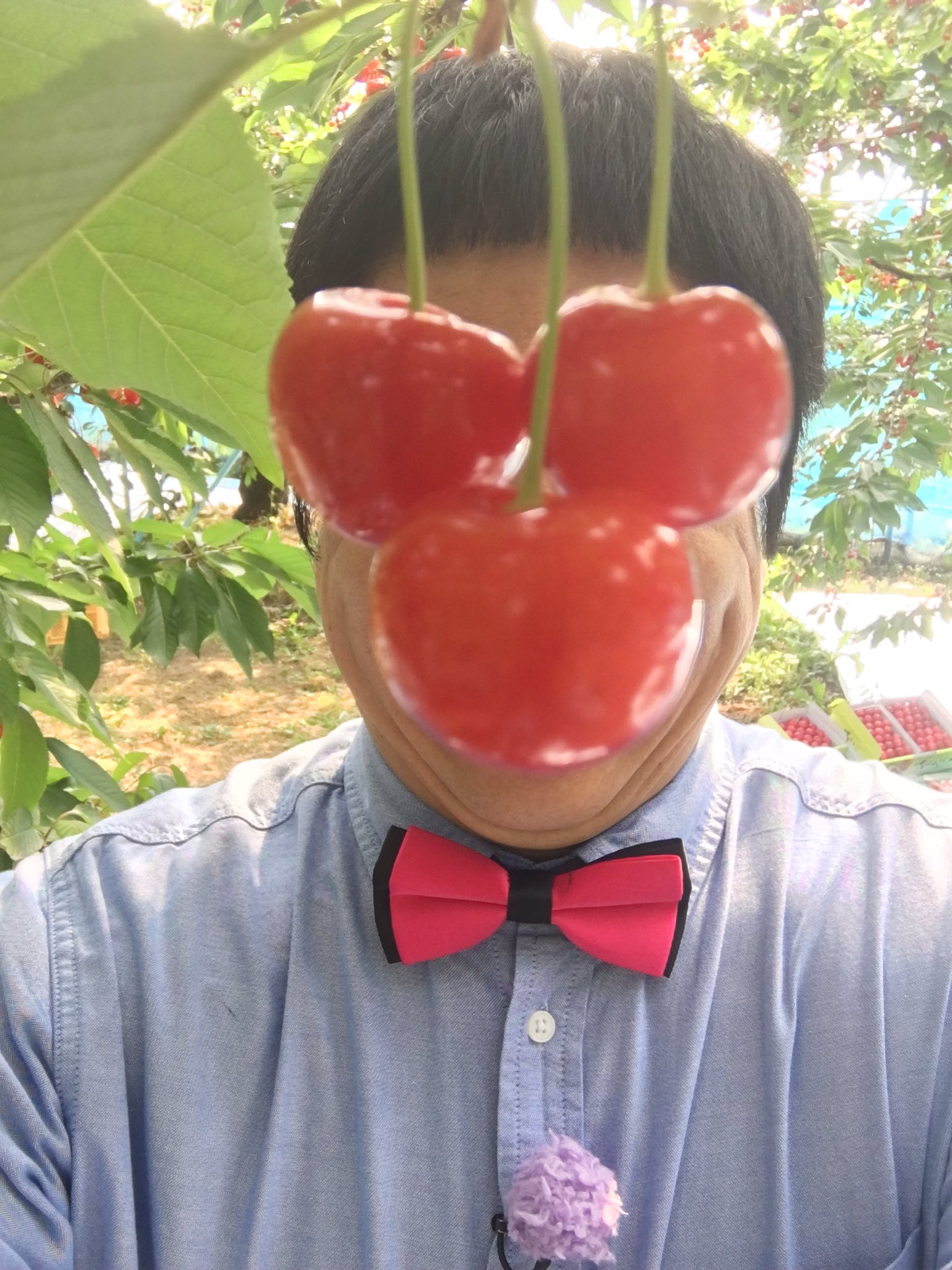 ぺんぎんナッツ いなのこうすけ Twitterissa 本日もkfbさんのヨジデス観て頂きましてありがとうございました 菊地果樹園さん素敵な所でした さくらんぼミッキーとさくらんぼを食べるエロい顔がたまりませんね 待ち受け画像にして毎日観ても良いん ぺんぎんナッツ いなのこうすけ Twitterissa 本日もkfbさんのヨジデス観て頂きましてありがとうございました 菊地果樹園さん素敵な所でした さくらんぼミッキーとさくらんぼを食べるエロい顔がたまりませんね 待ち受け画像にして毎日観ても良いん