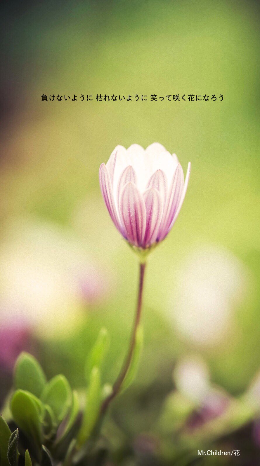 Twitter 上的 Masaya 花 負けないように 枯れないように 笑って咲く花になろう T Co 9nekd0b9dn Twitter Twitter 上的 Masaya 花 負けないように 枯れないように 笑って咲く花になろう T Co 9nekd0b9dn Twitter