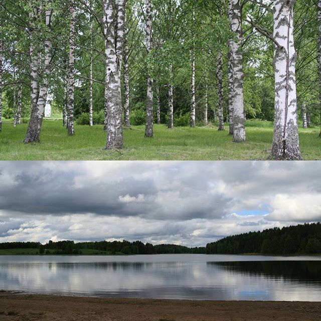 annefinn88's tweet photo. #midsummer2017 ! #midsummer #midsommar #juhannus #juhannus2017 #kesä2017 #summer #summer2017 #june #nature #lake #woods #forest #finland https://t.co/l6hJRQbZnQ