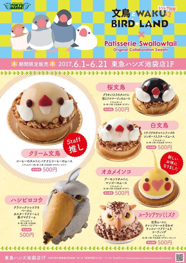 文鳥スイーツセット 文鳥ケーキいかがでしょうか！ こちらの商品は6月21日までの販売で