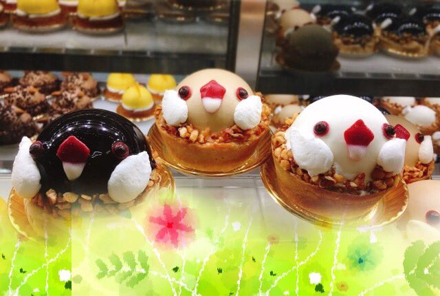 文鳥ケーキいかがでしょうか！ こちらの商品は6月21日までの販売で