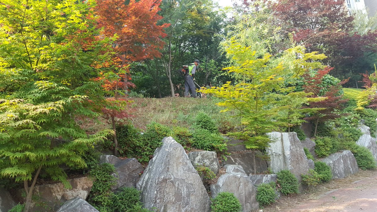 #성남시 #삼평동 은 현재 제초중!!! 오늘은 아파트 단지를 위주로 잡초를 제거중입니다. 최대한 보행에 불편이 없도록 진행하였습니다