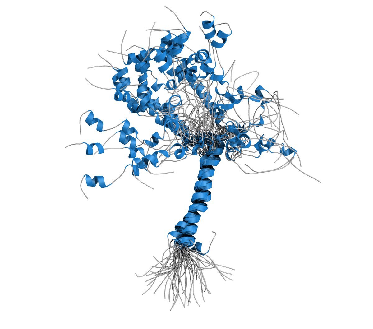 KamilTamiola's tweet photo. MOAG-4 👉🏻 #Parkinsons #IntrinsicallyDisorderedProtein #ai #deeplearning 👉🏻https://t.co/HEGSLwEg2G https://t.co/aqItp4ERpO