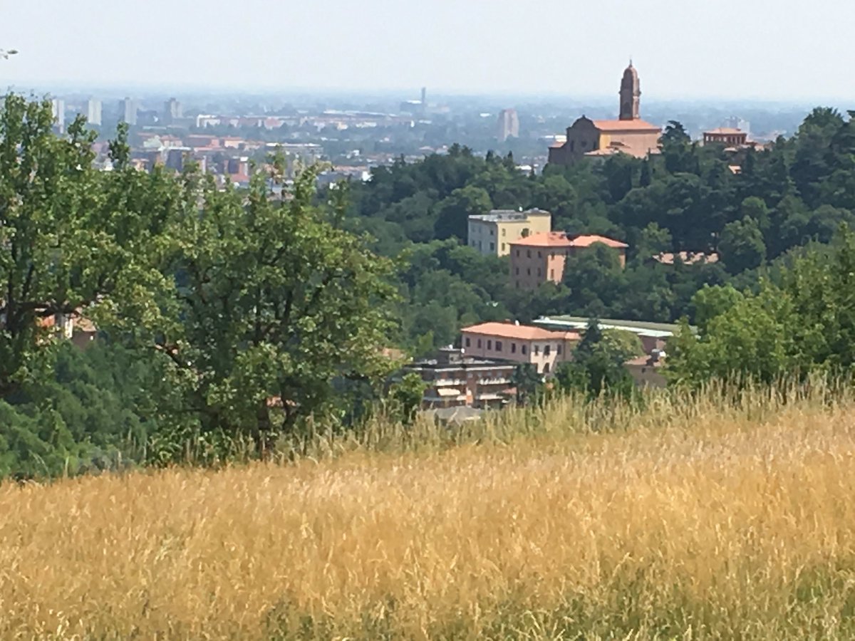 calliemacon18's tweet photo. 5 more days in this beautiful place❤️ https://t.co/J53C7F4ugM