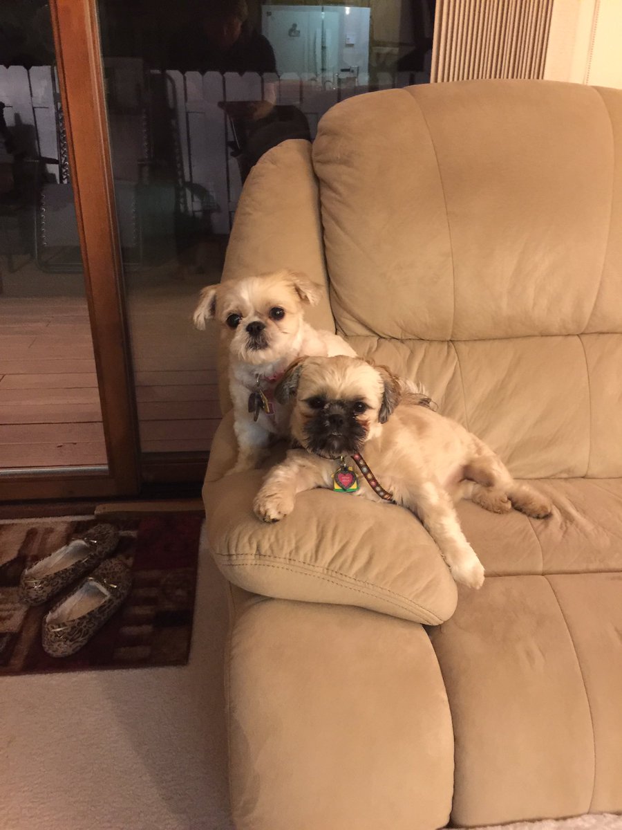 #ThrowbackThursday #ZSHQ #theruffriderz