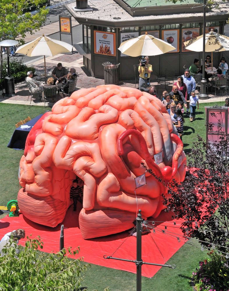 NebraskaMed's tweet image. Support our #stroke team and patients at @TheMattOBV tomorrow night! We'll have a MEGA BRAIN, flyover by #LifeNet, games and giveaways. #CWS