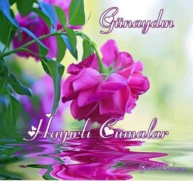 Rabbim 
dualı bir hayat yaşayan, 
duasını hayatına taşıyan, 
başkasının duasını alan 
ve duası kabul olan kulardan 
eylesin İnşaAllah..🎋💐😘
