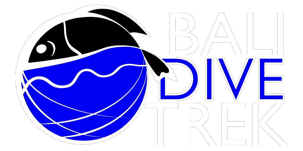 RoleFoundation's tweet photo. Bali Dive Trek is joining Clean Oceans Diveathon! #BaliDiveTrek #ROLEFoundation #CleanOceansDiveathon #WatermansWeek #ZeroOceanWaste https://t.co/WhlQcuKsJS