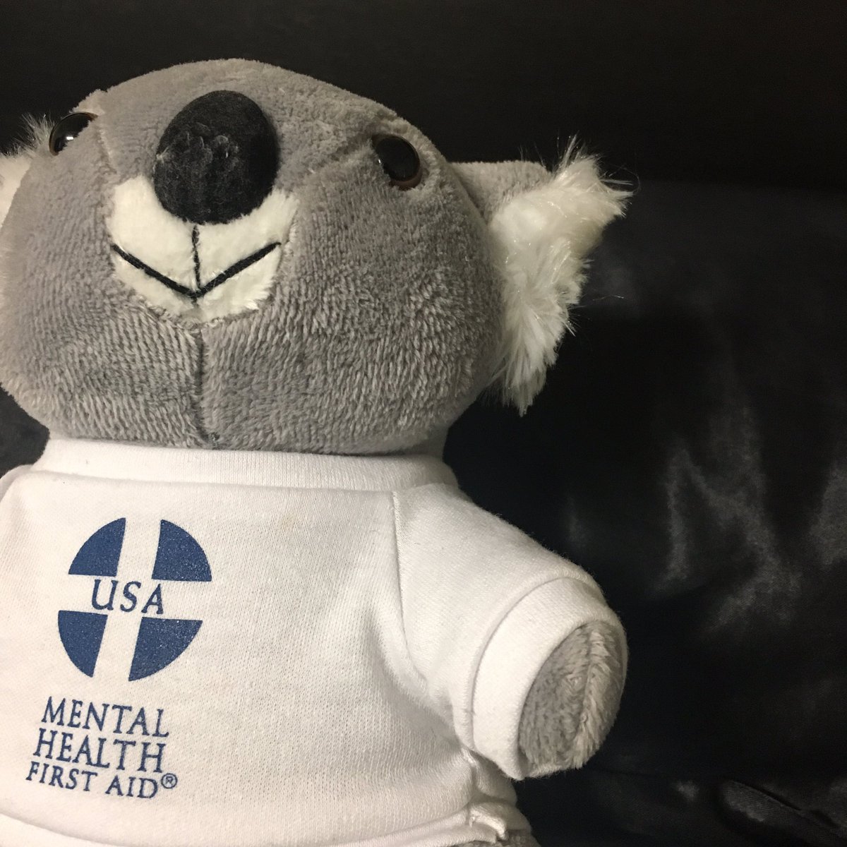 jmitraedu's tweet photo. It's been great doing @MHFirstAidUSA at @PikesvilleHS ! I loved hearing diverse voices in conversation. Plus, this little one is adorable! https://t.co/YqtrU6BuDD