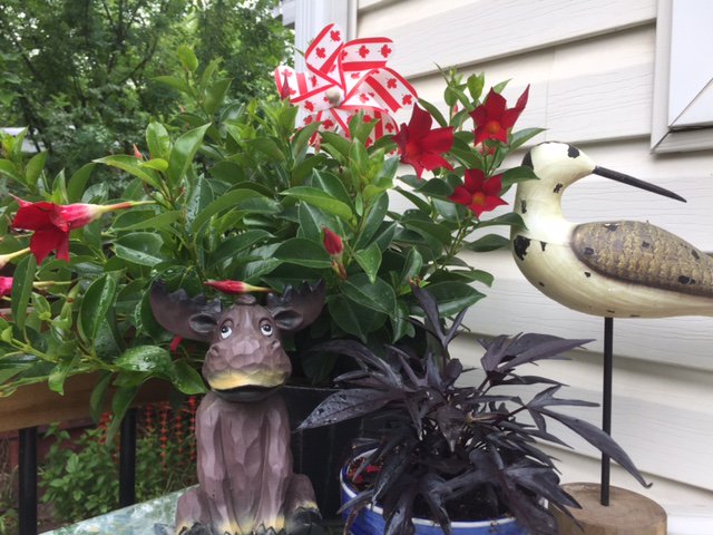 yeghighlands's tweet photo. #YEG #FrontYardsinBloom deadline is June 30 - nominate your neighbour today. Learn more, incl the #UniquelyCanadian: https://t.co/XDAMQXYPmI https://t.co/fG4E1OKImd