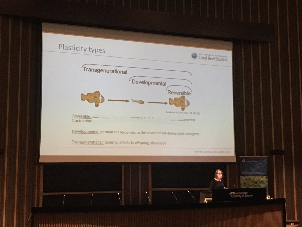 Hannah Markham (@reefscientist) on Twitter photo Coral reef fish may acclimate to climate changes but depends on trait observed & the rate of temp changes <a href="/DrJDonel/">Jenni Donelson</a> at #Coral17 @CoralCoE Coral reef fish may acclimate to climate changes but depends on trait observed & the rate of temp changes <a href="/DrJDonel/">Jenni Donelson</a> at #Coral17 @CoralCoE