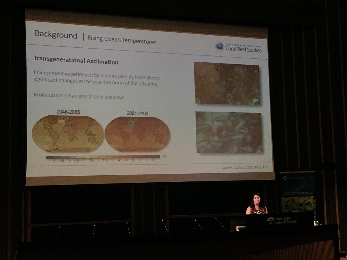 Hannah Markham (@reefscientist) on Twitter photo Coral reef fish can epigenetically regulate key genes associated with acclimating to ocean warming <a href="/hveilleux16/">Heather Veilleux</a> at #Coral17 @CoralCoE Coral reef fish can epigenetically regulate key genes associated with acclimating to ocean warming <a href="/hveilleux16/">Heather Veilleux</a> at #Coral17 @CoralCoE