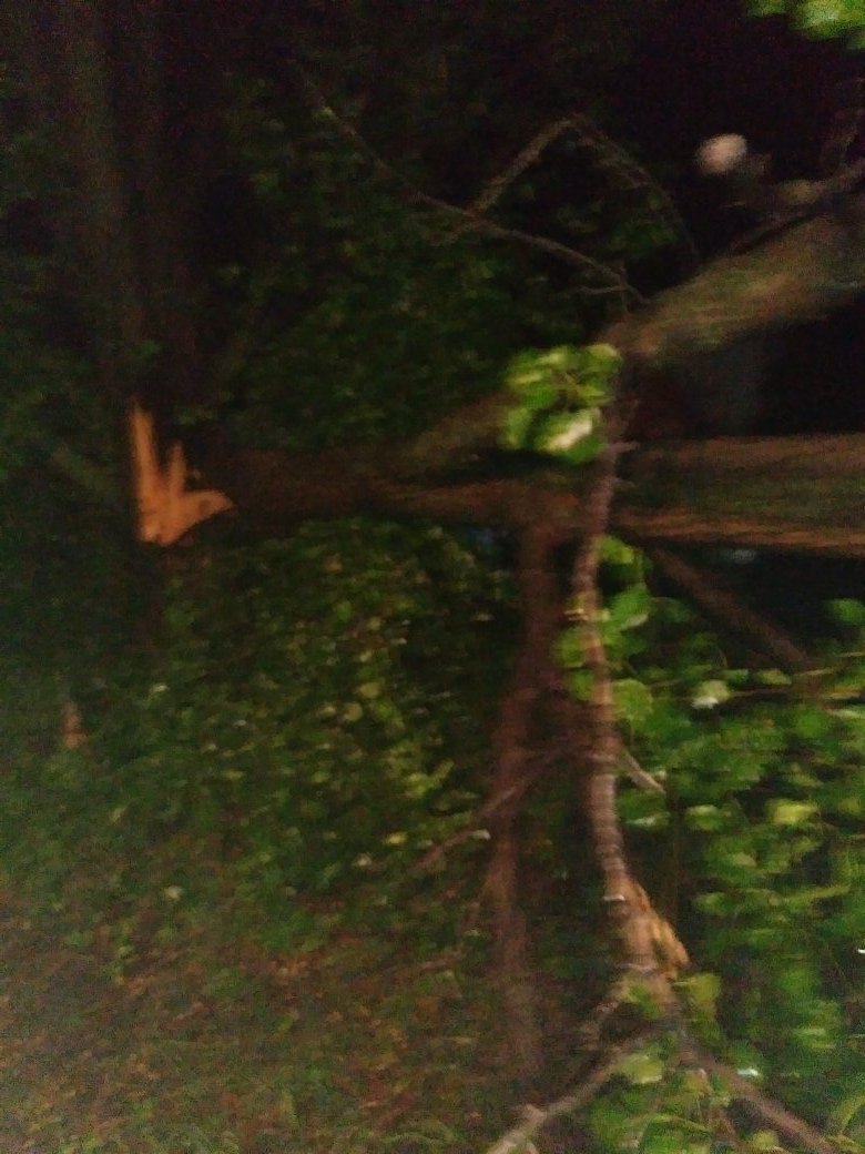 froush2011's tweet photo. @KWCH12. At my house at 25 and hood in Wichita... Tree in my back yard fell... https://t.co/eJAJTgX5IN