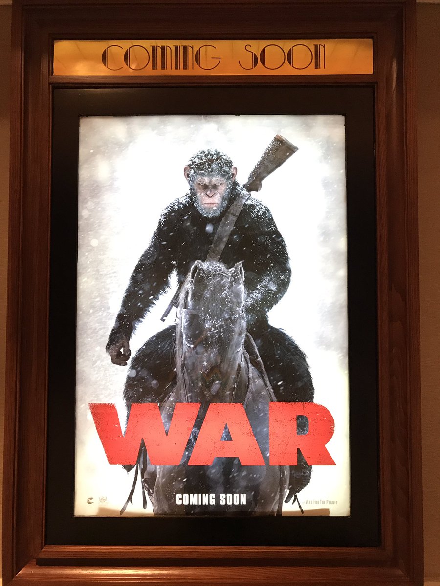 pandji's tweet photo. Cant wait to watch the coolest ape in the world. https://t.co/R7joFoKACs