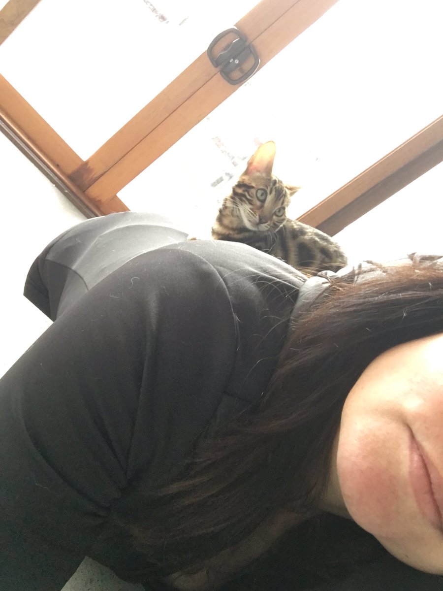 kelisha's tweet photo. So, apparently I am never allowed to move again. #encatted https://t.co/pqCmnFqFtb