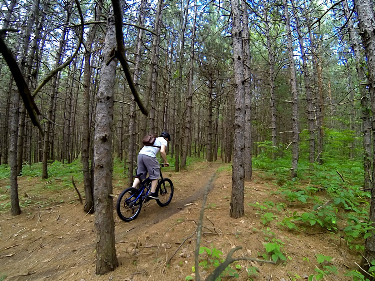 tranquilart's tweet photo. What goes up must come down. #Northumberland #trails flyingsquirrel @CBaileyOfficial #CycleNthld #Mountainbike #forest #cycling #photo #mtb https://t.co/0ma8NoCYWk