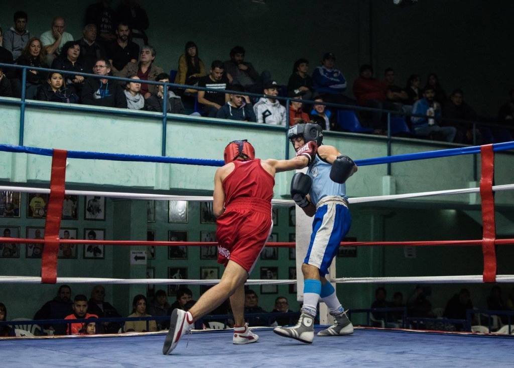 BoxeoLigaMetro's tweet photo. FECHA 8: Llegamos a los 200 combates en 2017, nuevos campeones metropolitanos y… https://t.co/xsInTmqLwb https://t.co/N03JzoHt6P