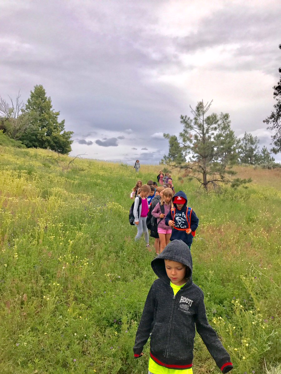 Grade 1s &amp; 2s exploring wetland and grassland ecosystems #placeconscious #bced #sd67 @michtom20