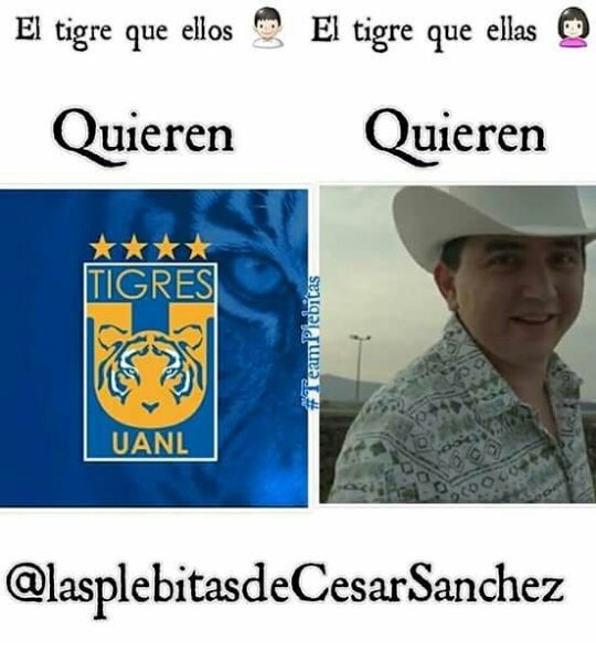 lasplebitasdeCS's tweet photo. Si o no chicas amamos a @cesar_sanchezof
#teamplebitas 🐯 https://t.co/1mEuIievIE