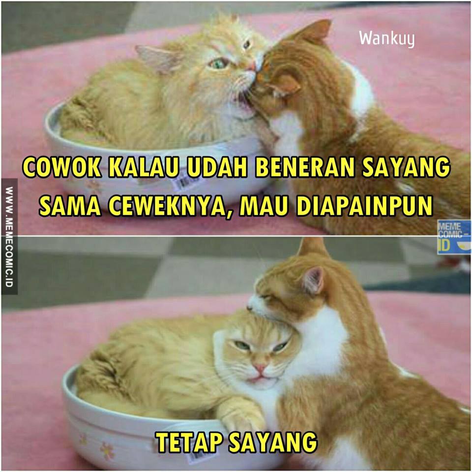 Sidiq Zd 67321 Twitter Sidiq Zd 67321 Twitter
