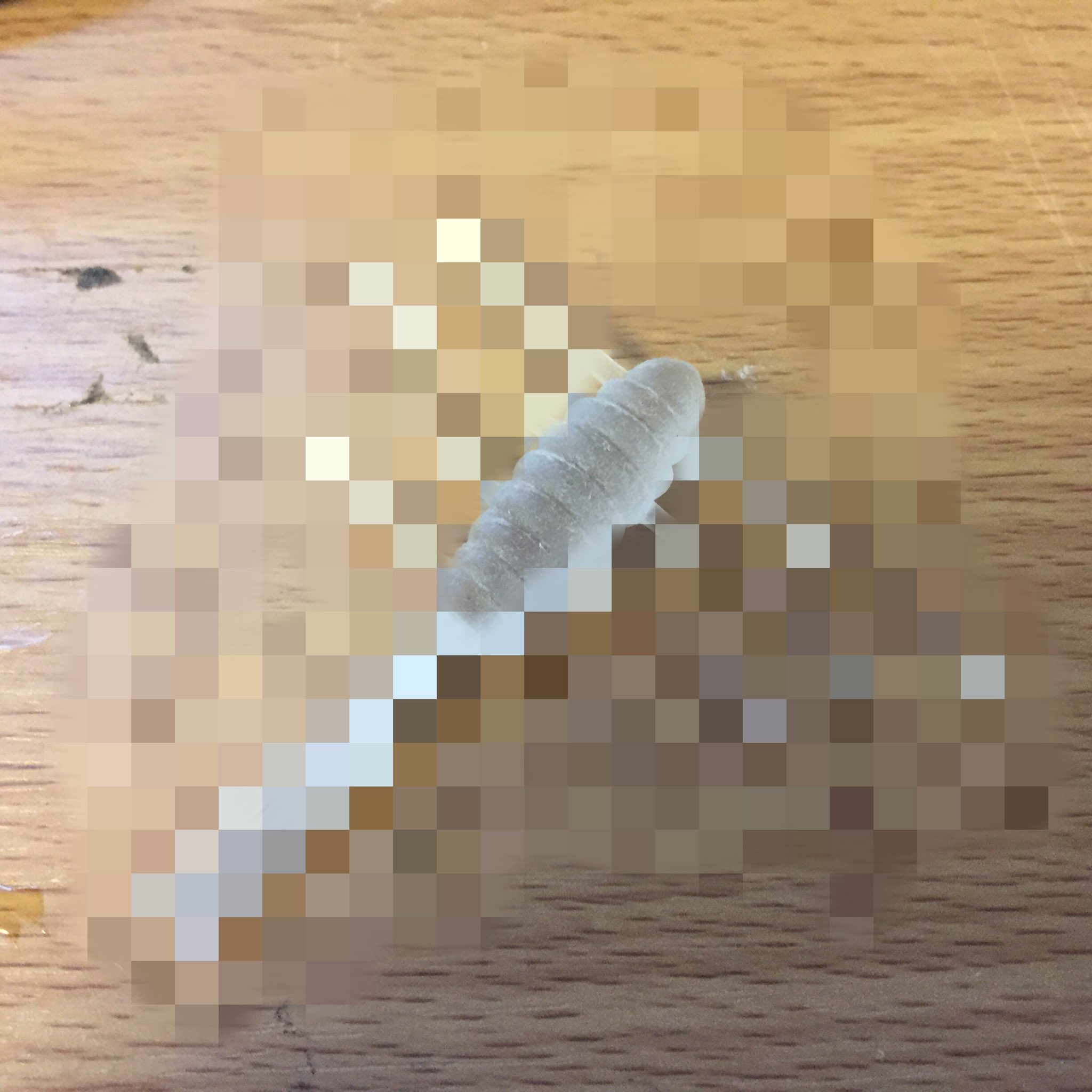 青木大介 巷で噂のシェイクシャッド虫チューン 実は去年からすでに開発中 T Co J0rc2fr8gh Twitter