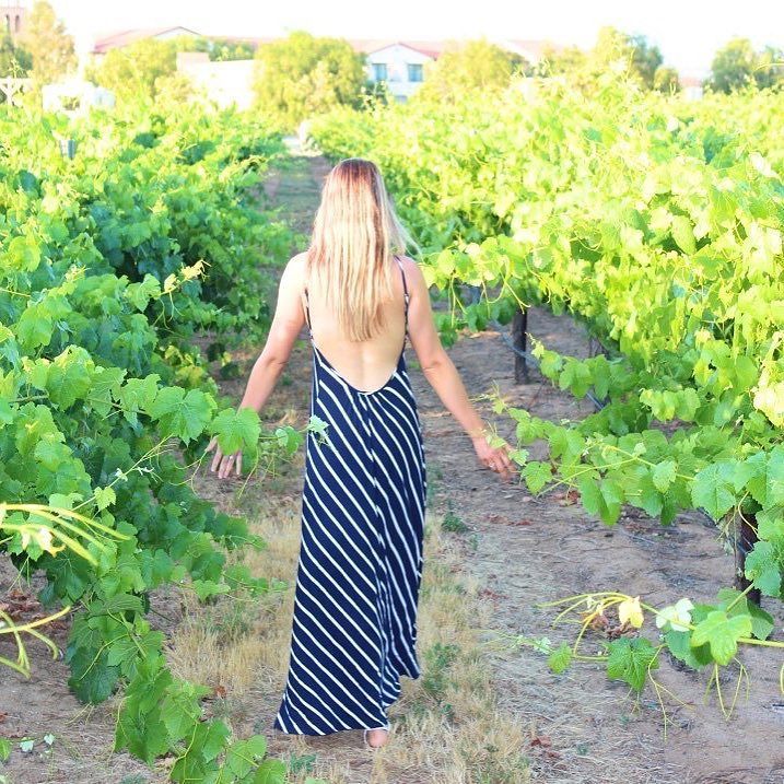 CarterEstWinery's tweet photo. Here's a great write up from a recent guest. Thank you @seekyourbeauty #seekyourbeauty #southcoastwinery #carteres… https://t.co/2butlSQWQM https://t.co/z4E0pYXbXk