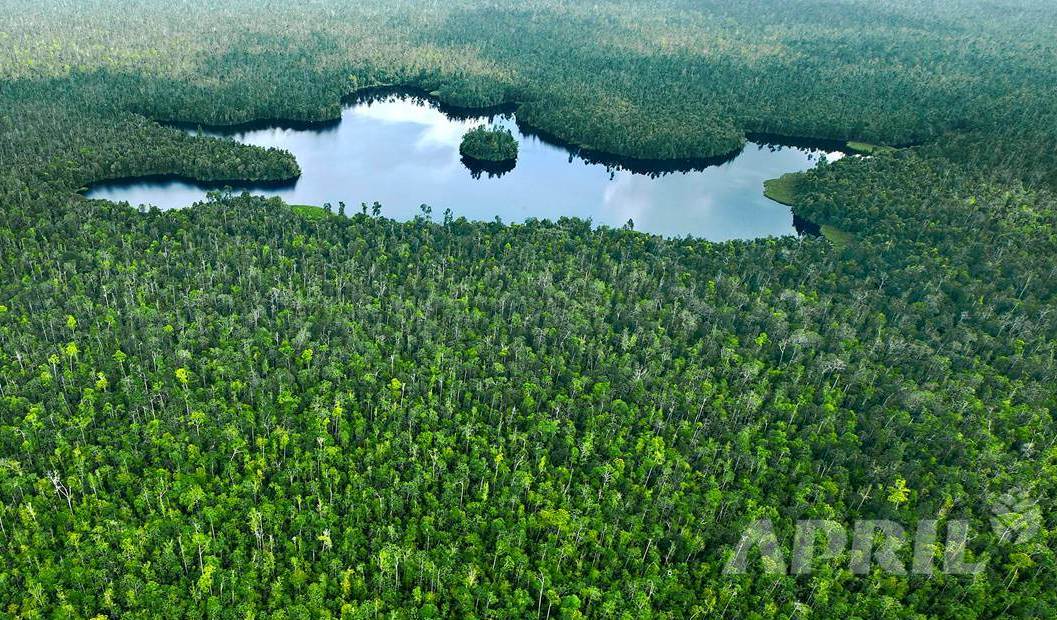 Making promises is easy. So 2 years after RGE's #Sustainability Framework was launched what progress have we made? ow.ly/uoQf30cDrXX