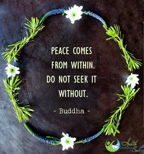 Health Harmony Soul tweet media
