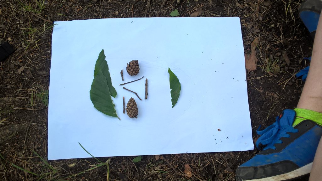 SwissValleyCP's tweet photo. Bl5 studying the work of #TimPugh & recreating their portrait using natural materials #outdoor #learning https://t.co/gGUAHdu38J
