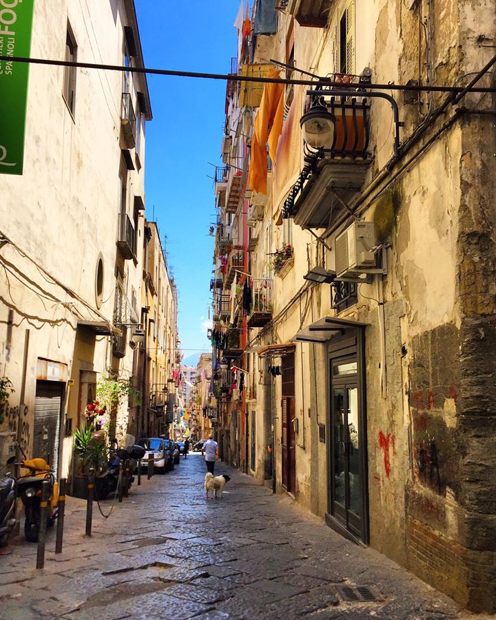 Travel_Naples's tweet photo. Inside and outside Naples.
#napoli https://t.co/J0m1ThOQQ4