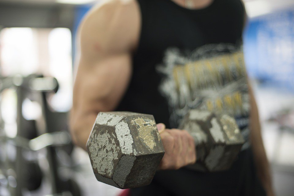 FLPAmandaEgan's tweet photo. #Muscle fibres grow and gain #strength by contracting against heavy resistance. Do you #LiftWeights in the gym?🏋️💚💪 https://t.co/ovhi7xsuux