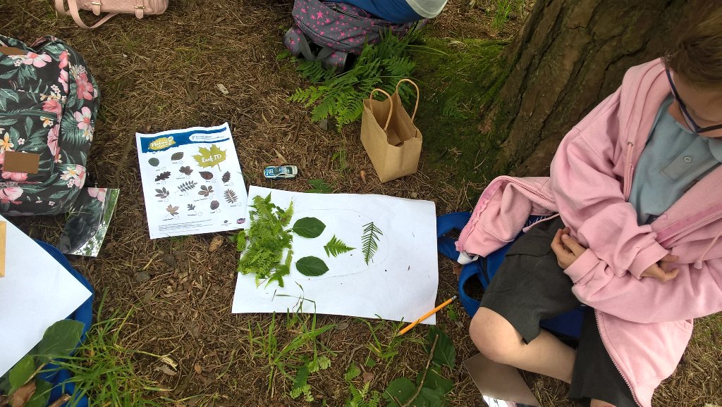 SwissValleyCP's tweet photo. Bl5 studying the work of #TimPugh & recreating their portrait using natural materials #outdoor #learning https://t.co/gGUAHdu38J