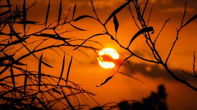 erzaehlterfall's tweet photo. Was macht ihr an einem warmen Tag? Lesen – oder vielleicht sich selber einen interessanten  #Freitagsfall ausdenken? https://t.co/nHVlpZ1YMa