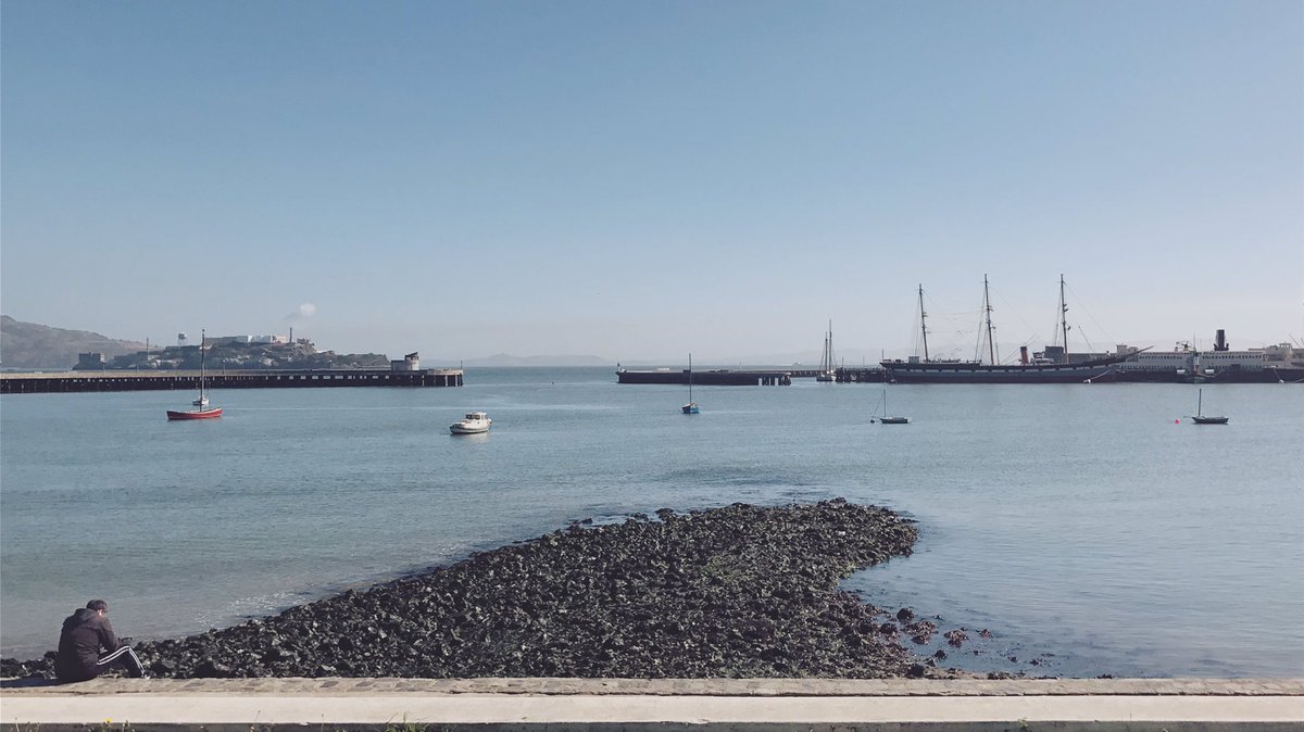 Raftazzi's tweet photo. Silently, I observe. #zenview #contemplation #loveforthiscity #marina #marinadistrict #bayarea #sf #sanfrancisco #thursday https://t.co/6r4Fi85UR0