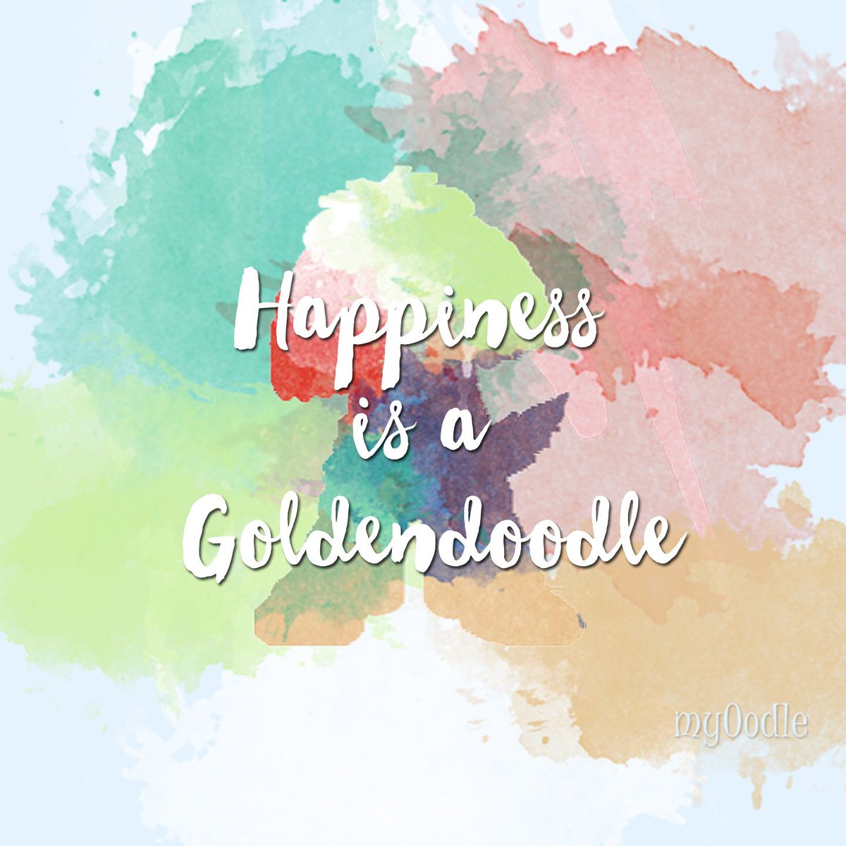 MyOodle's tweet photo. Have you downloaded your FREE #Goldendoodle wallpaper? https://t.co/hjQkNaLxJc https://t.co/pp3PzewnUw