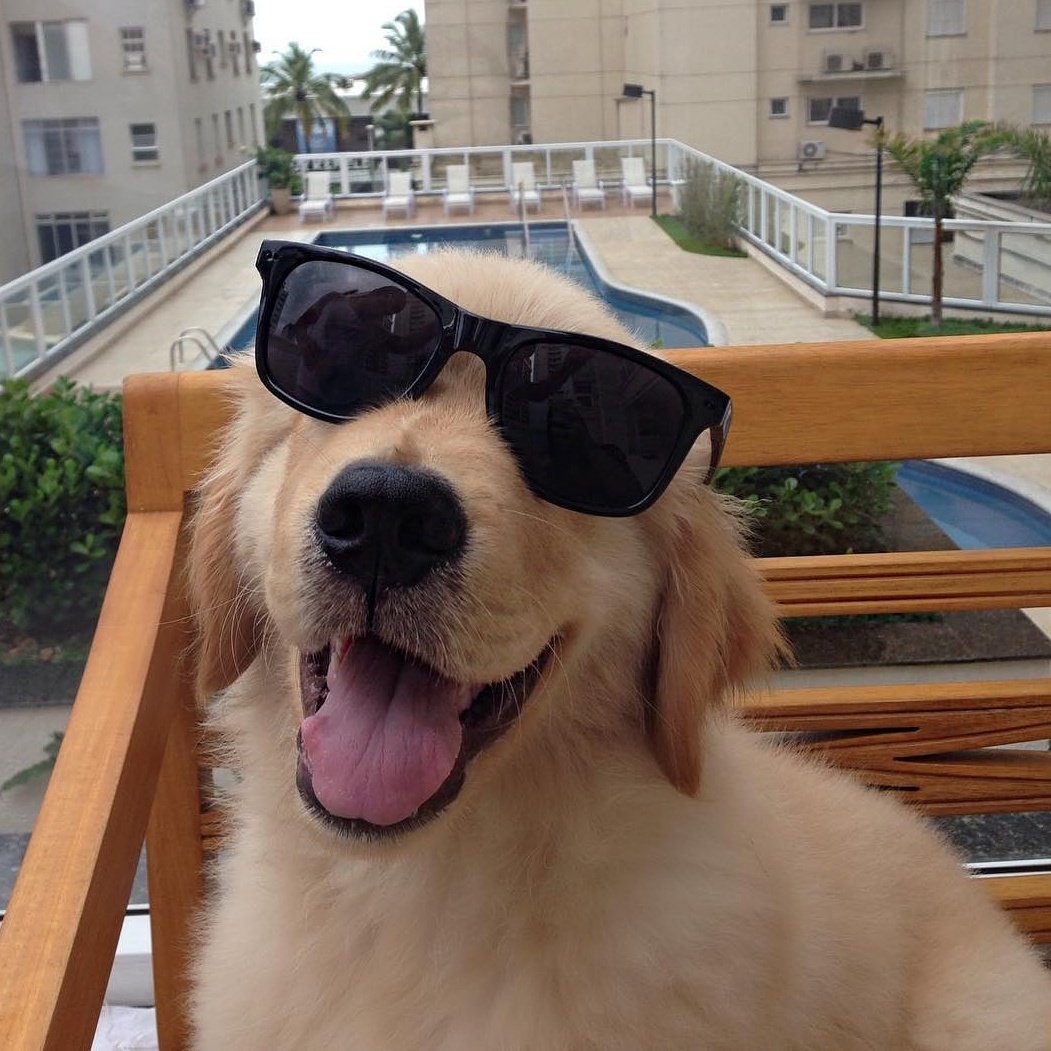 tailloversco's tweet photo. That Friday Feeling! 😎

#friday #fridayfeeling #fridaygoals #weekendishere @antoniothegolden https://t.co/AlUHImFIJE