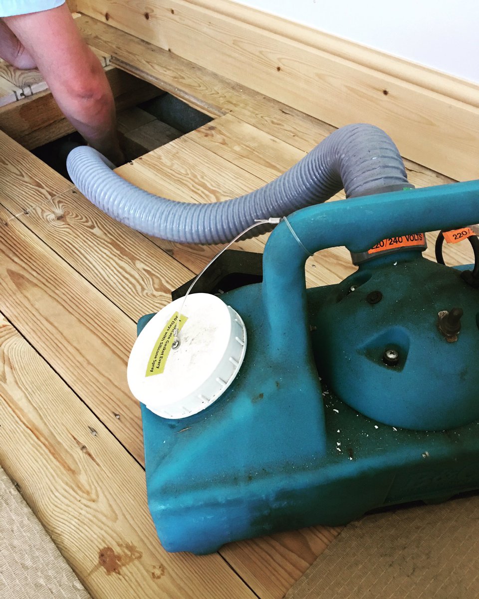 ChrisBDMATech's tweet image. Wet fogging a void space under a domestic property with a antimicrobial to stop the growth of any microorganisms. #Chemdry #WetFogging