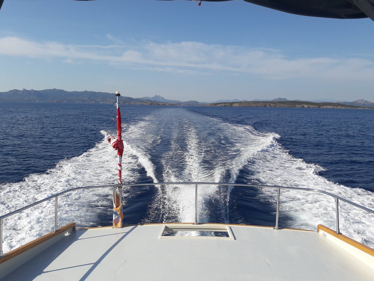 scubapointpalau's tweet photo. https://t.co/cQbW3HOgLc