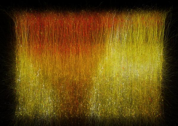 Scientists discover hidden patterns of brain activity actu.epfl.ch/news/scientist… #epfl