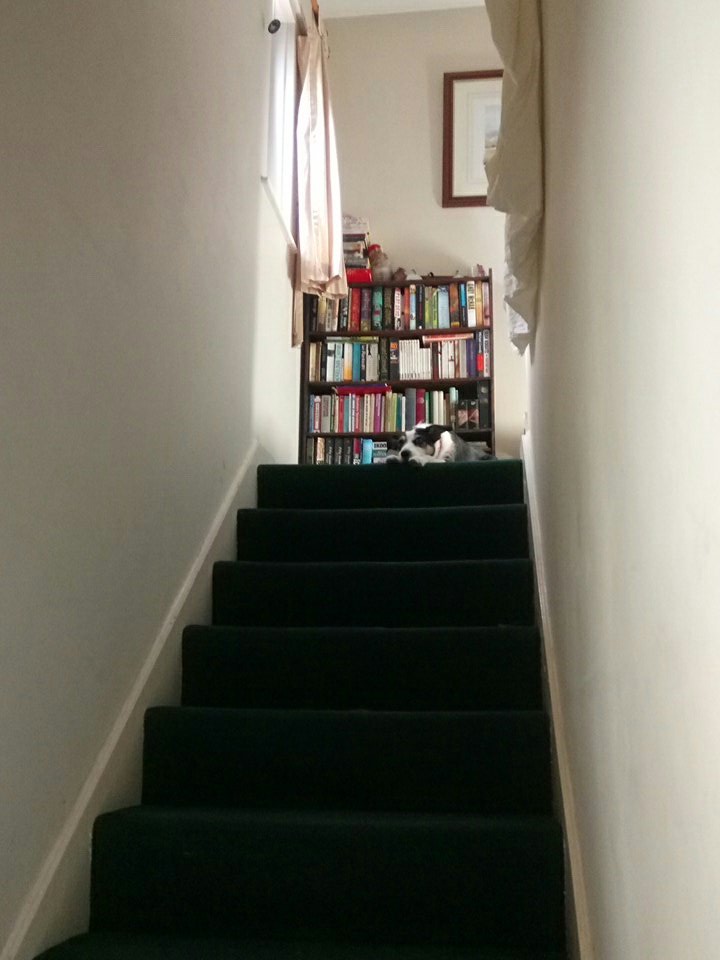 mum is packing, hope they are taking me, I'll just watch from here