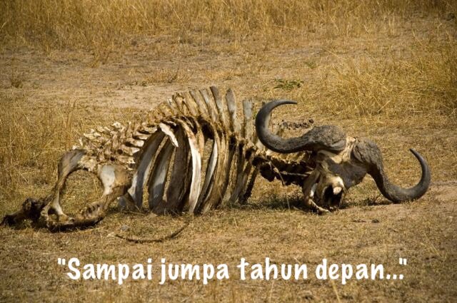 vctrkmng's tweet photo. Sebuah tragedi yang terinspirasi dari kisah nyata~ https://t.co/Bnm6iJBAK2