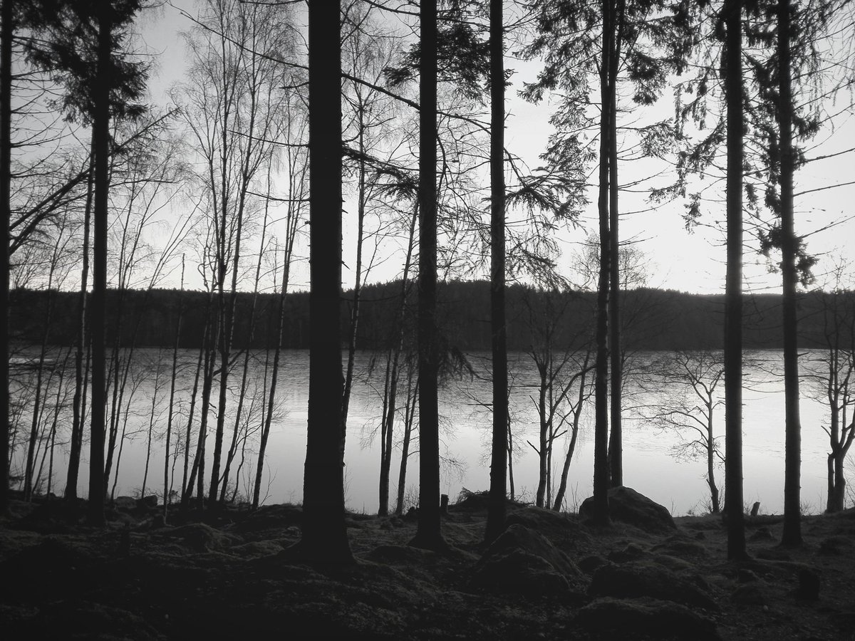 oktobernatt_'s tweet photo. A few lines about life up at my blog.
https://t.co/0yZeAVXePp
#gloomy #photography #poetry https://t.co/SVjTNaoD3d