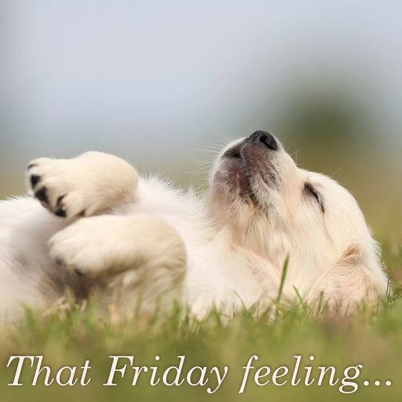 laskabynature's tweet photo. Heard the good #news?...

It's Friday! 😄 After work, go home, relax &amp; soak in our beautiful, #Bulgarian #natural #soaps #Bulgaria #Friday https://t.co/3uLyMoZh0U